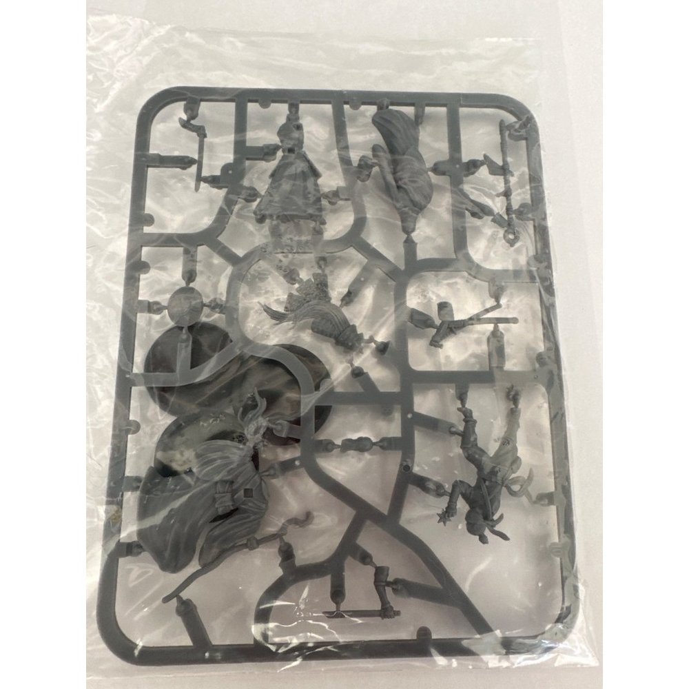 Forbidden Fortress Alt Gender Hero Miniatures Pack Sealed New Replacement SOB